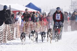 Lenk 2013